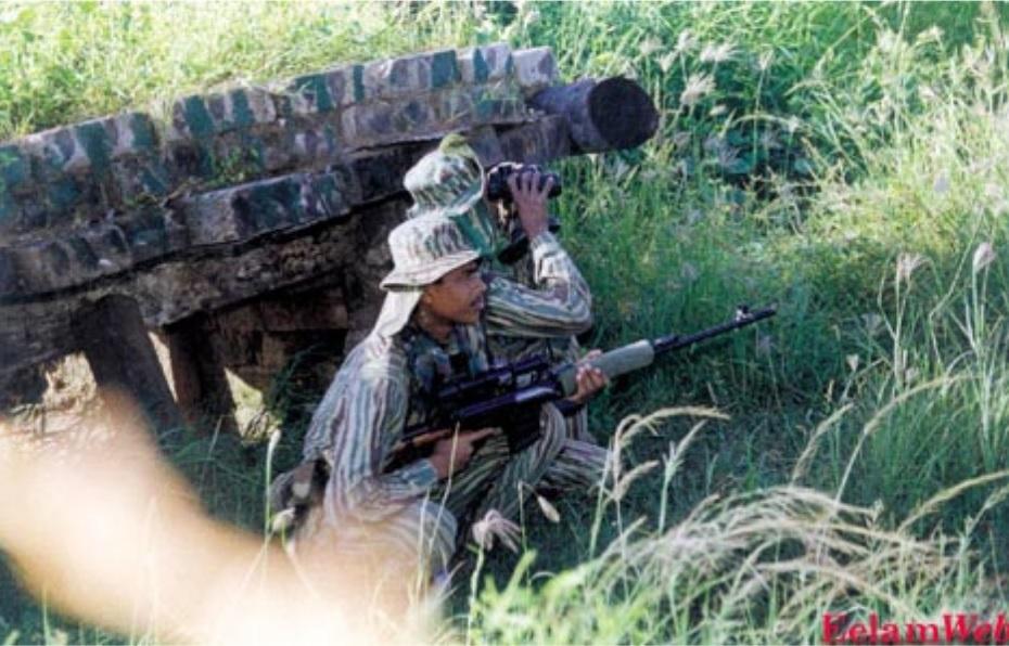 Unceasing waves 3l.jpg