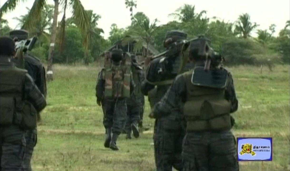 Land Black TIgers 3.jpg