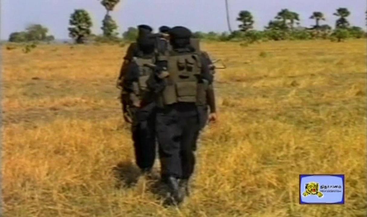 Land Black Tigers 4.jpg