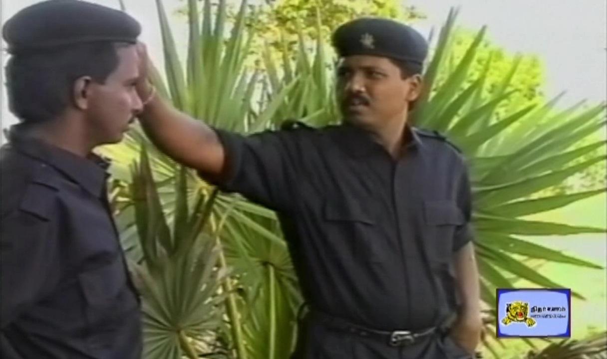 Sea Black Tigers 6.jpg