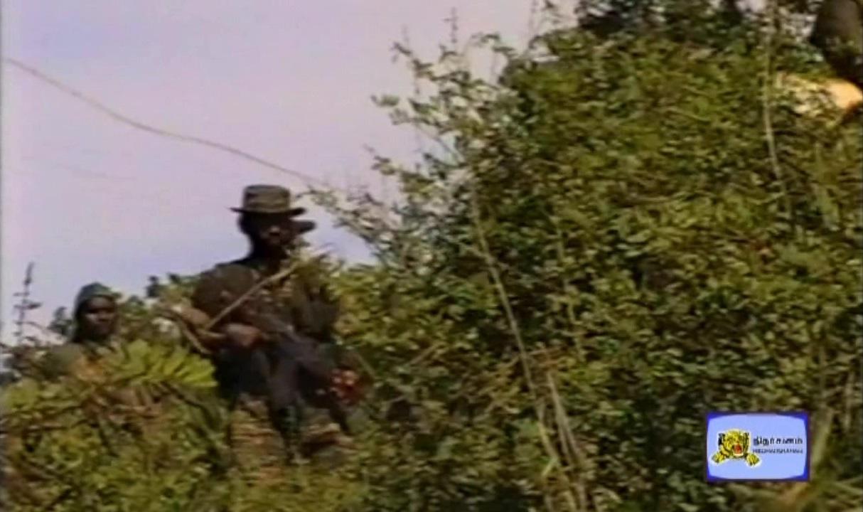 Unceasing Waves 3 black tigers 2.jpg