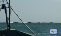 ltte Sea Tigers boats.jpg