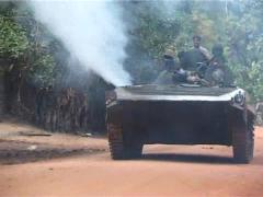 ltte bmp-1 IFV.jpg