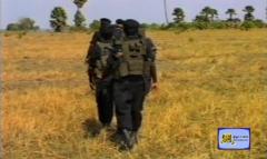 Land Black Tigers 4.jpg