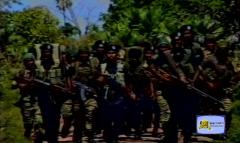 Land Black TIgers during the operation Unceasing Waves 3.jpg