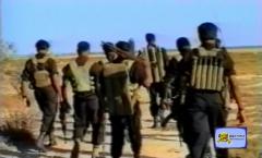 Land Black Tigers.jpg