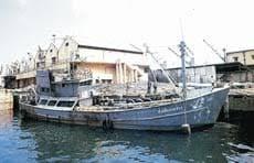 large.tongnova.jpg.83c7382abc2a3155be248