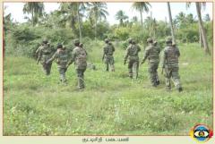 photo11 (13) (1).jpg