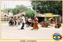 photo41 (18) (1).jpg