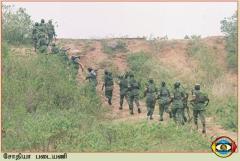 photo17 (13) (1).jpg