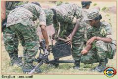 photo24 (13) (1).jpg