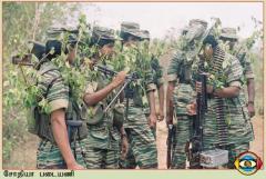 photo16 (13) (1).jpg