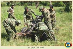 photo15 (11) (1).jpg