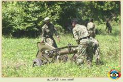 photo14 (11) (1).jpg