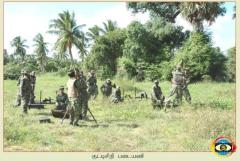 photo10 (14) (1).jpg