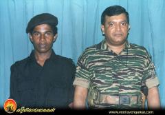 blacktigers28 (1).jpg