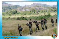 photo11 (12) (1).jpg