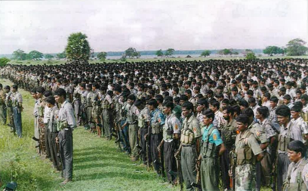 Tigers before a Leap on SLA - 1997.jpg