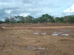 17 October 2009 -  One of the Settikkulam  concentration camps in Vavuniya, a district in the occupied Northern Tamil Eelam - Tamil Genocide Sri Lanka (15).jpg