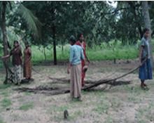 Maryillam women at work1.gif
