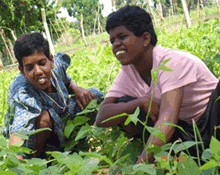 Niraimathi Illam1.gif