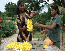 Flower Garland 1.gif