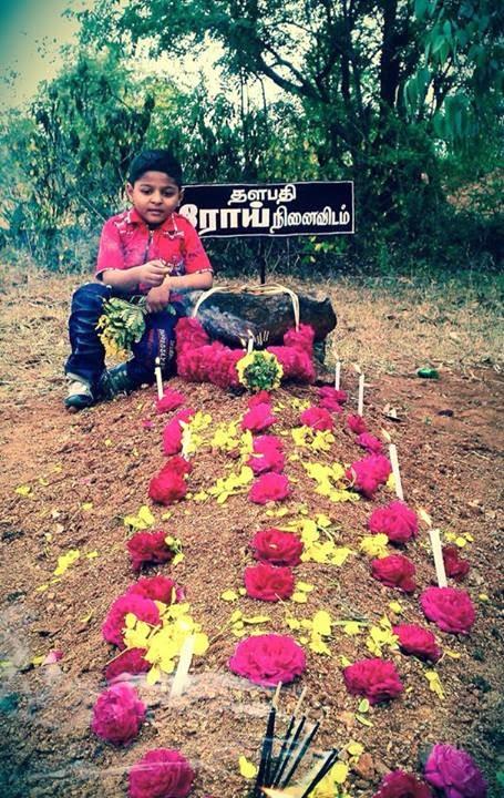 கொளத்தூர் அருகில் புலியூர் காட்டுப்பகுதியில் (மேட்டூர் பகுதி).jpg