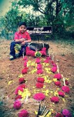 கொளத்தூர் அருகில் புலியூர் காட்டுப்பகுதியில் (மேட்டூர் பகுதி).jpg