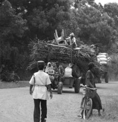 Eleam police woman.jpg