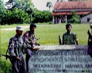 Tigers soldiers - UW3.jpg