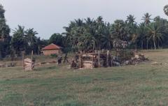 Liberation Tigers of Tamil Eelam a.k.a. Tamil Tigers_ images (3).jpg