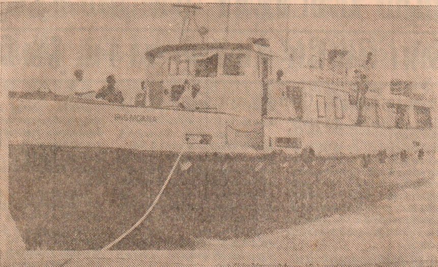 large.IrishMona.png.80324c24bd51673953bc