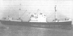 Monitoring ship - capt Angkayarkanni.jpg