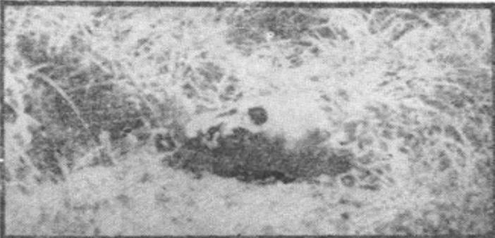 Massacre of Tamils by Muslims in Southern Tamil Eelam 2.jpg