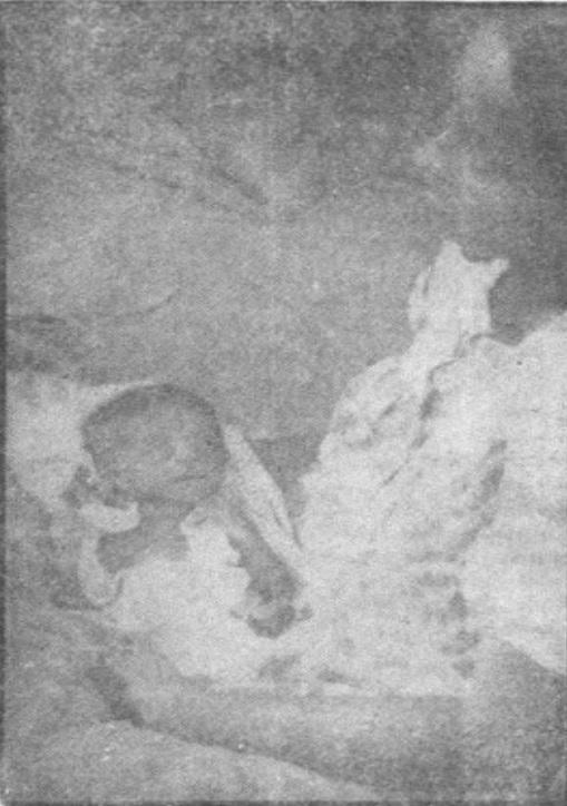 Massacre of Tamils by Muslims in Southern Tamil Eelam 3.jpg