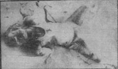 Massacre of Tamils by Muslims in Southern Tamil Eelam.jpg