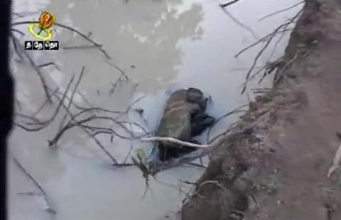 large.20-12-2008(1).jpg.c2a8470c1efcb1b5