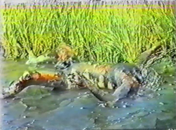 large.MassacrebySriLankanMuslimsinBattic