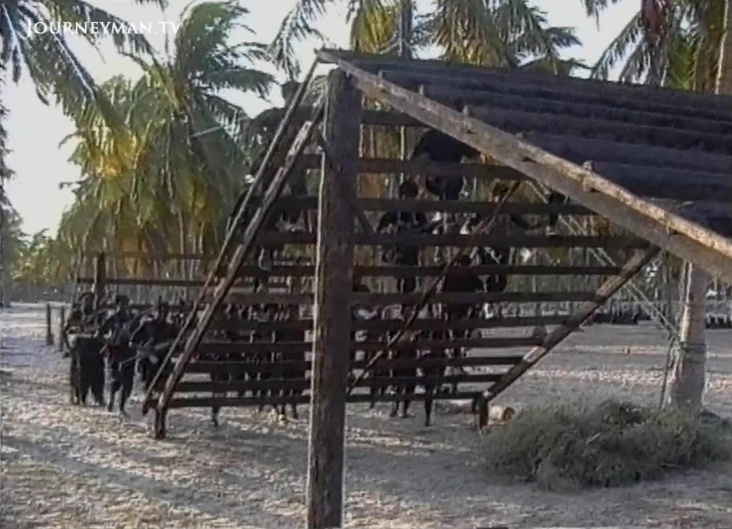 large_jmpm.jpg.f8b547783eb8e6b6e4f1d0f11