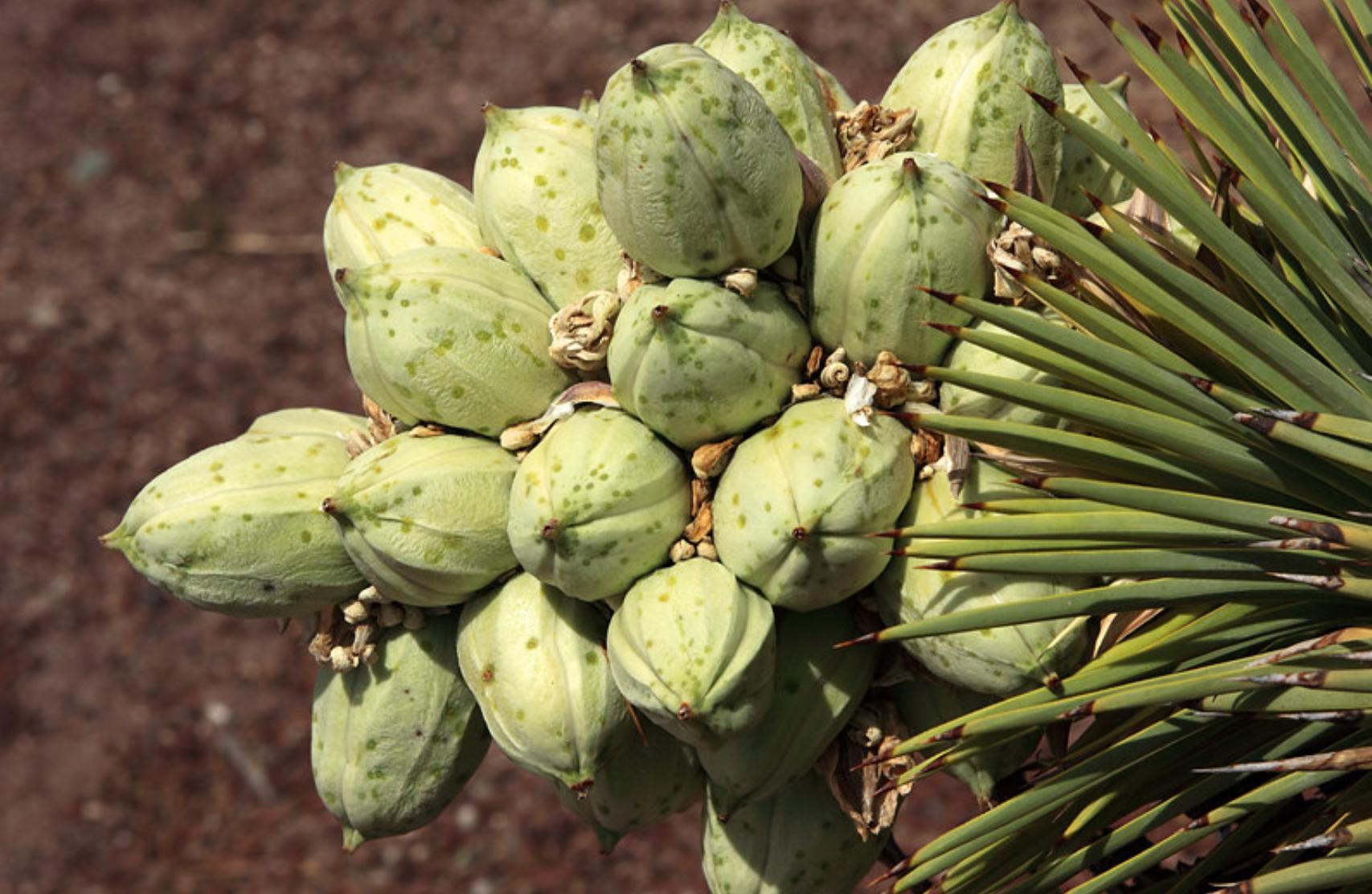 large.IMG_2273.jpeg.b4db3d28609630262a0f