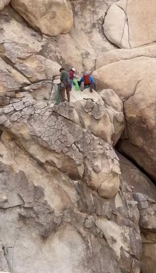 large.IMG_2277.jpeg.5607b4ccf5f2c0aefa07