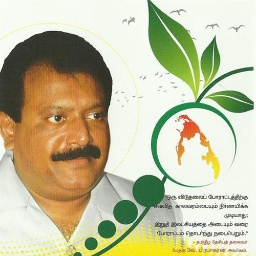 துளிர்கள்.jpg