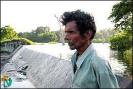 Kanapathipillai Sivanesarajah, 58, looks over his field, standing near the Udumbankulam reservoir's spill..jpg