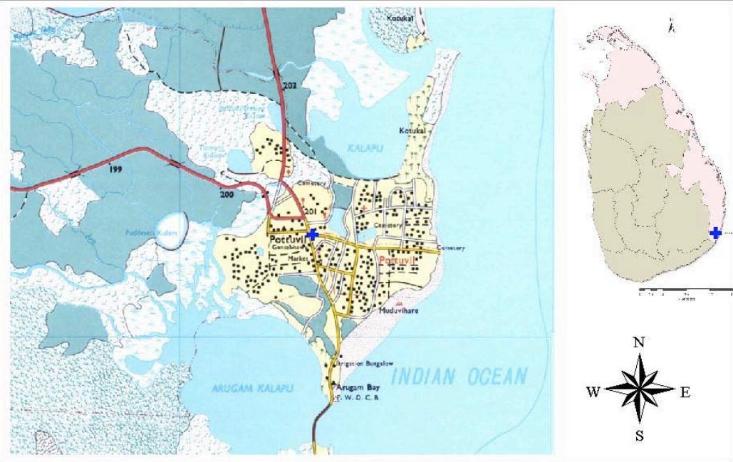 Poththuvil massacre by sri lankan muslims.jpg