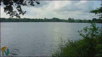 Twilight over the Udumbankulam Tank..jpg
