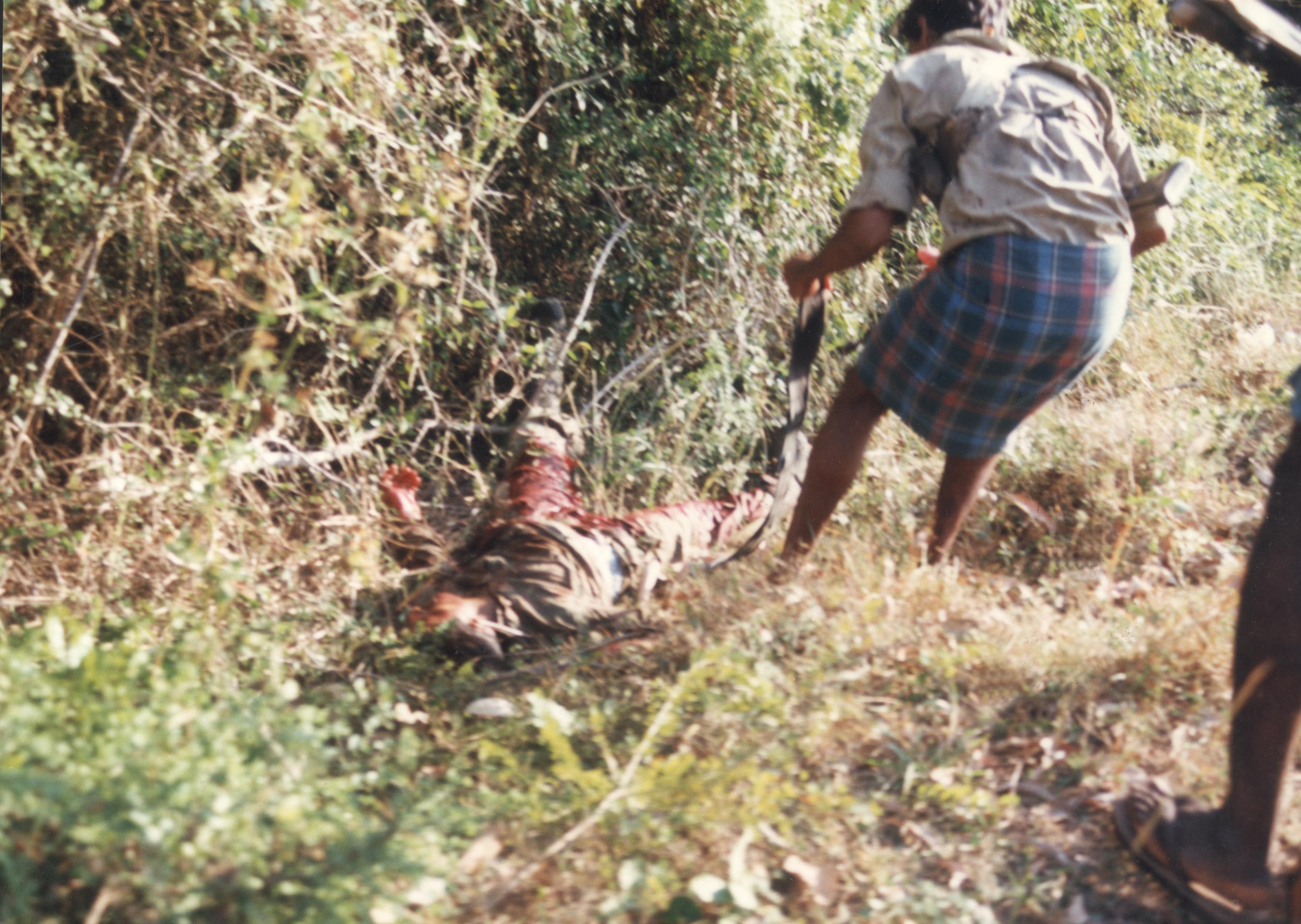 IPKF vs LTTE in Tamil Eelam (41).JPG