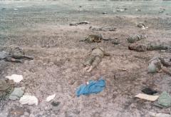 ஓயாத அலைகள் - Unceasing Waves - 2 KIlinochchi battle 1998 (19).JPG