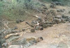 ஓயாத அலைகள் - Unceasing Waves - 2 KIlinochchi battle 1998 (23).JPG