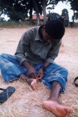 A Tamil Tiger