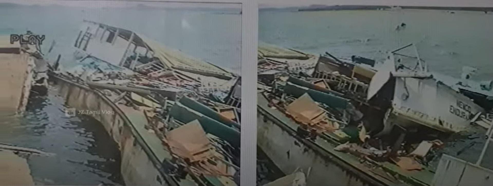 large.bombedbySeaTigersUnderWaterSwimmin